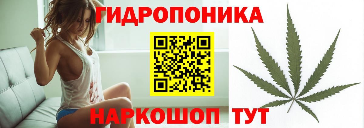 Каннабис SATIVA & INDICA Александров