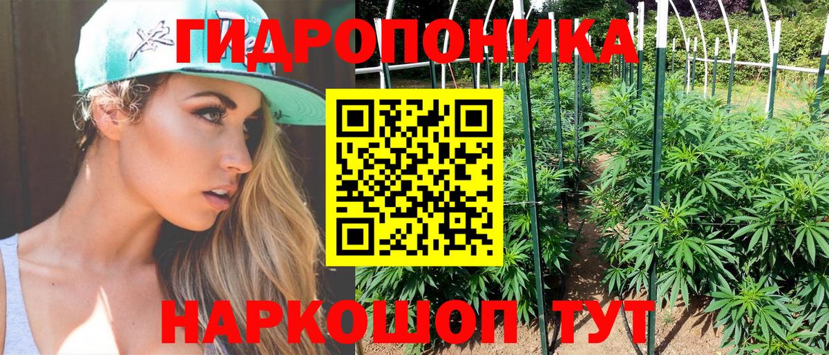 Марихуана сатива  Вход с VPN  Конопля LSD WEED  Бошки марихуана план  Александров  Конопля план 